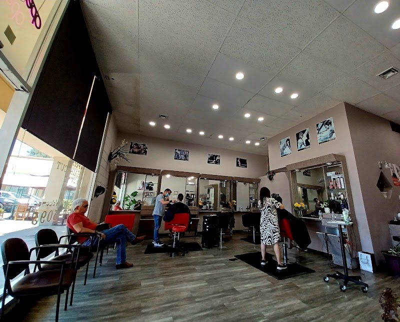 Le Cuts Salon photo 3