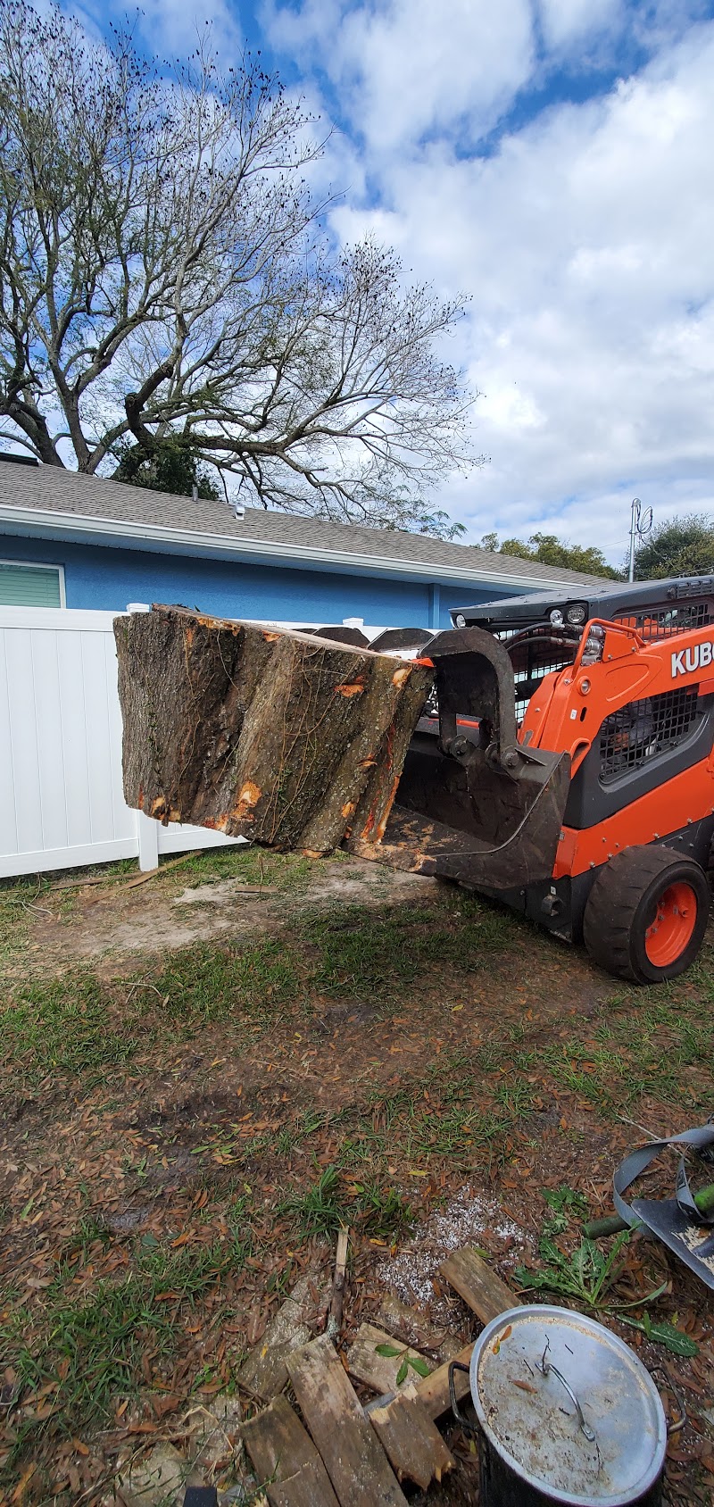 Photo of G&M Tree Services LLC