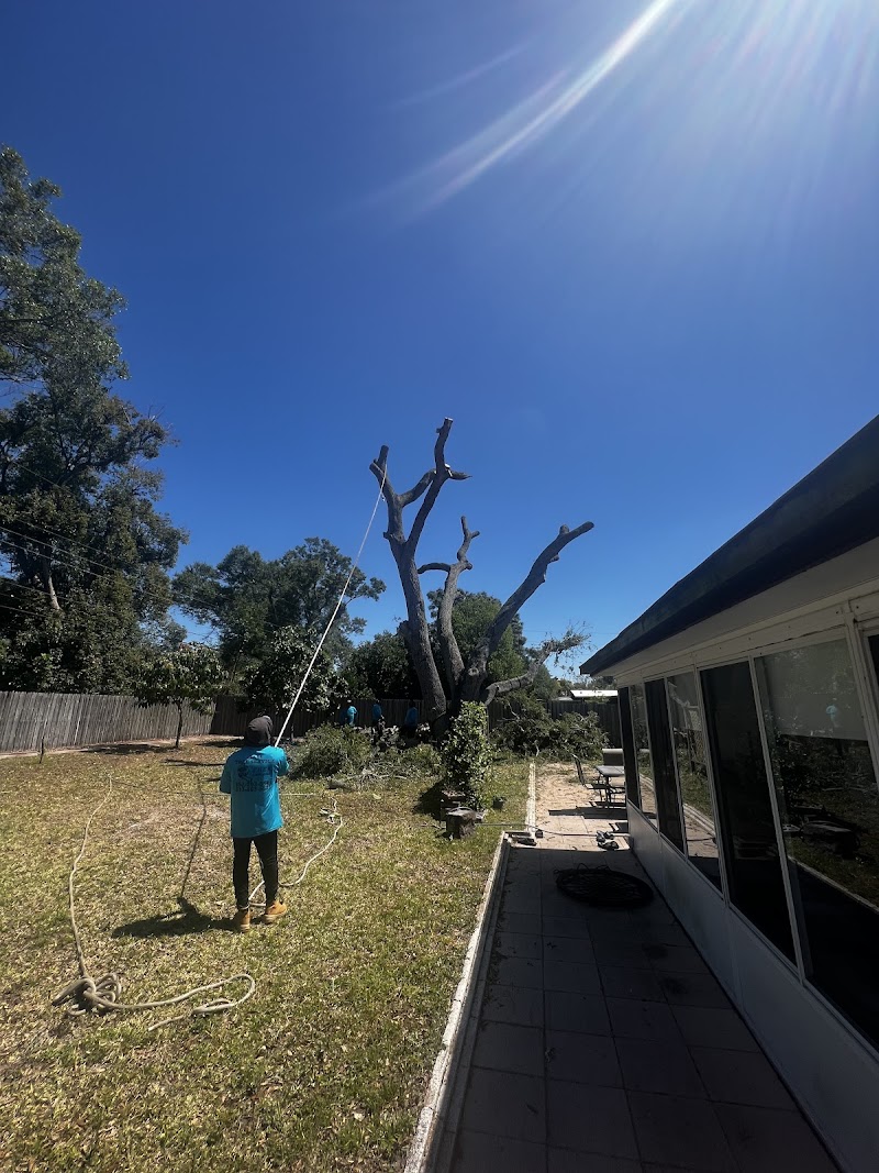 G&M Tree Services LLC photo 2
