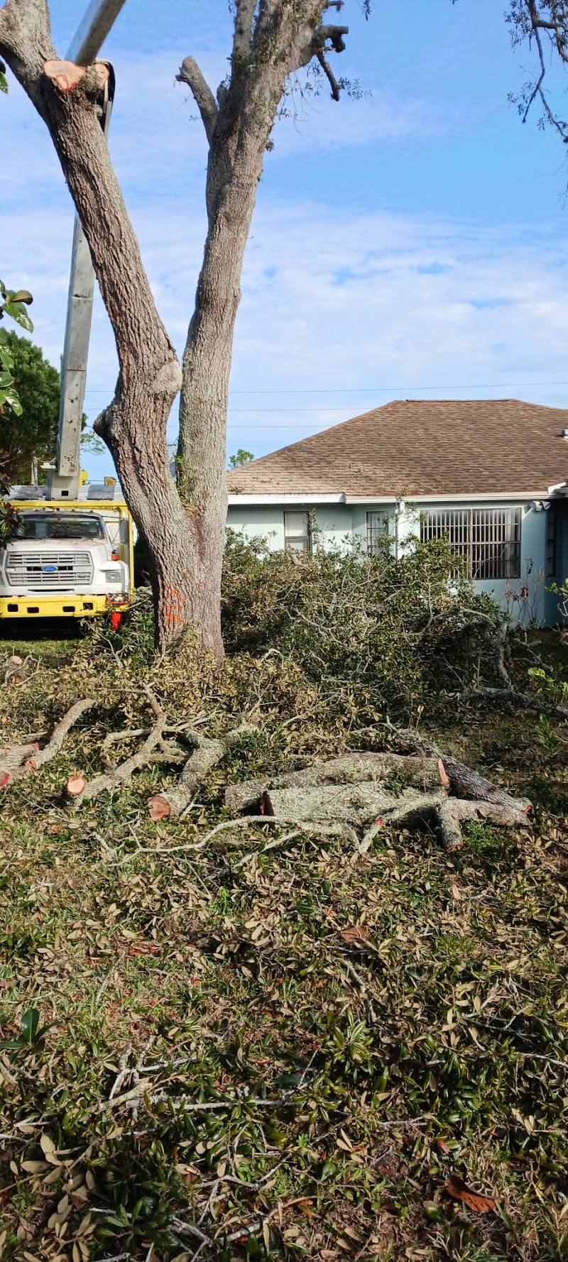 G&M Tree Services LLC photo 4