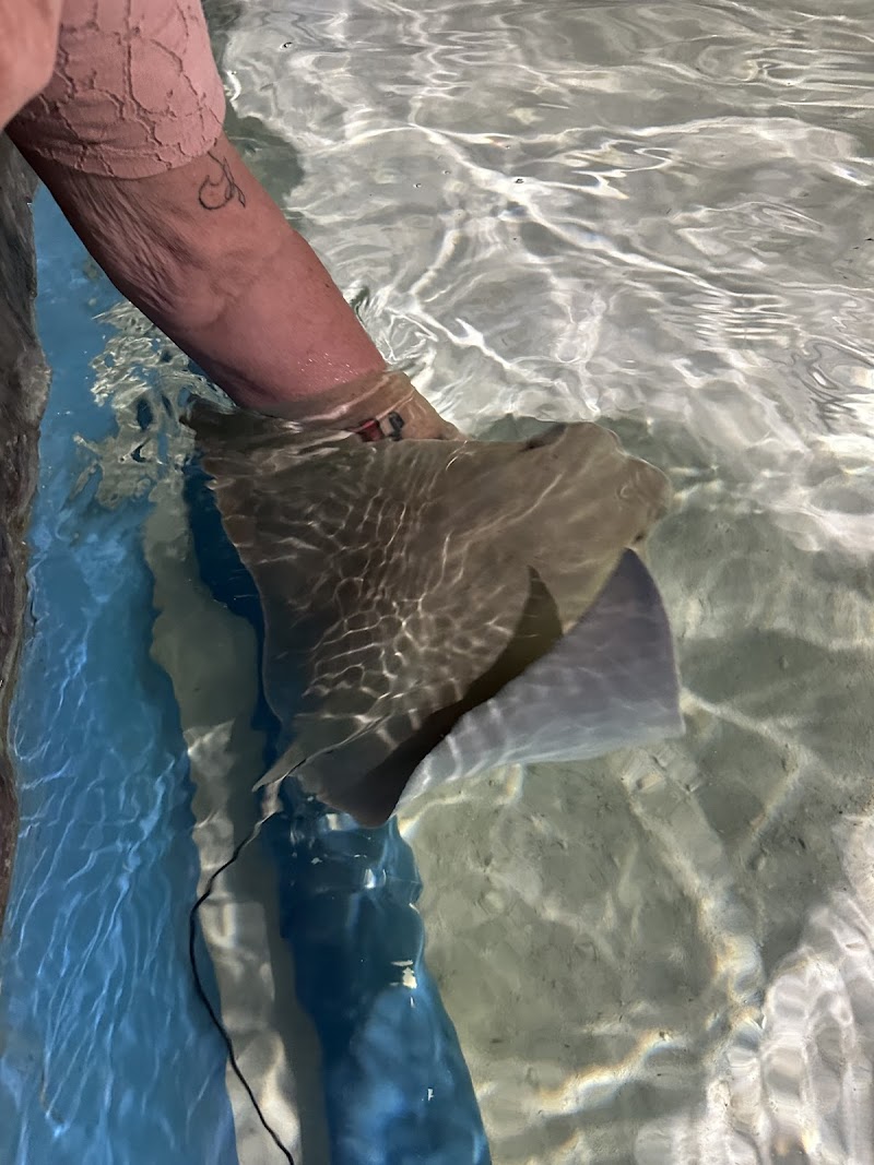 Jungle Reef Touch Aquarium photo 2