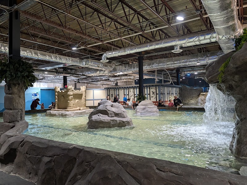 Photo of Jungle Reef Touch Aquarium