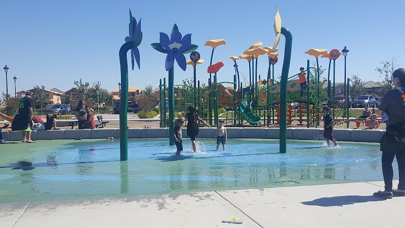 Photo of Magnolia Park