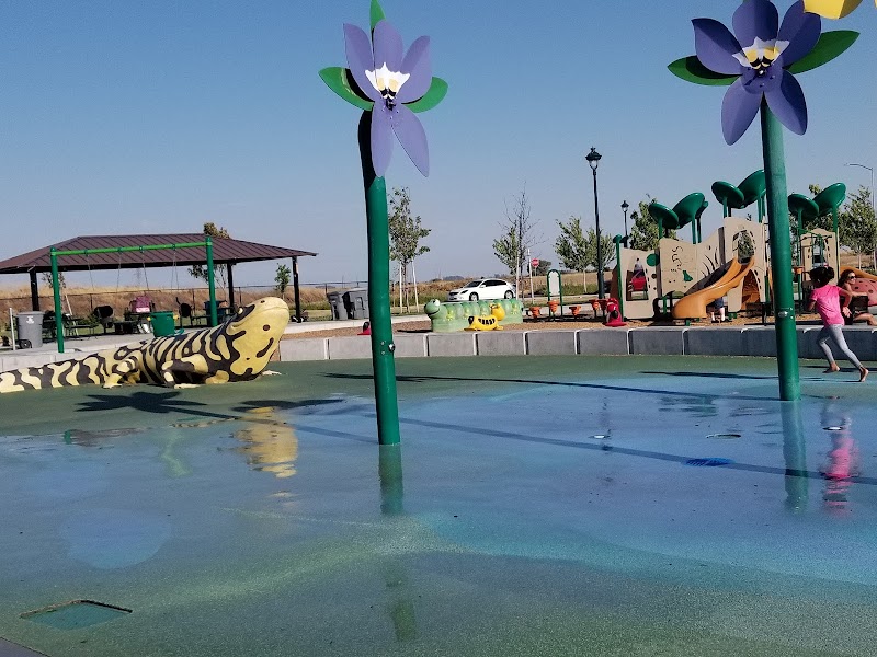 Magnolia Park photo 5