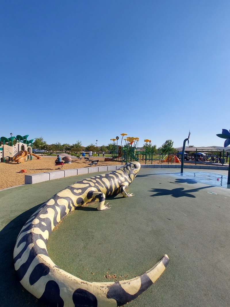 Magnolia Park photo 4