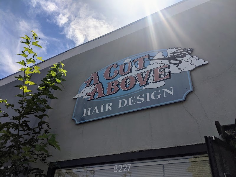 Photo of A Cut Above Hair Design, Cotati