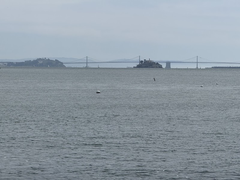 Sausalito Community Boating Center at Cass Gidley Marina photo 5
