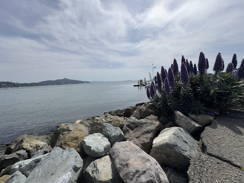 Sausalito Community Boating Center at Cass Gidley Marina photo 3