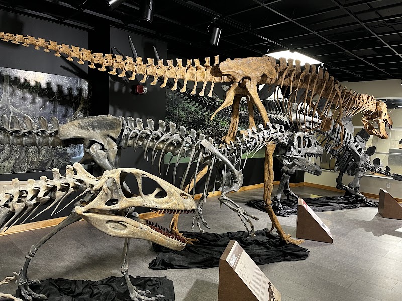 Lafayette Science Museum photo 4