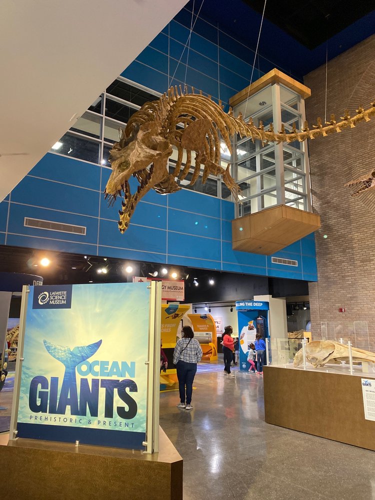 Lafayette Science Museum photo 2