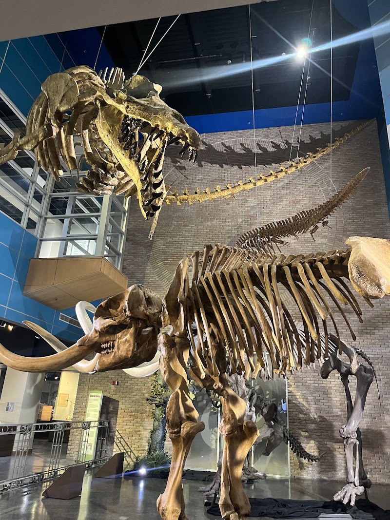 Lafayette Science Museum photo 5