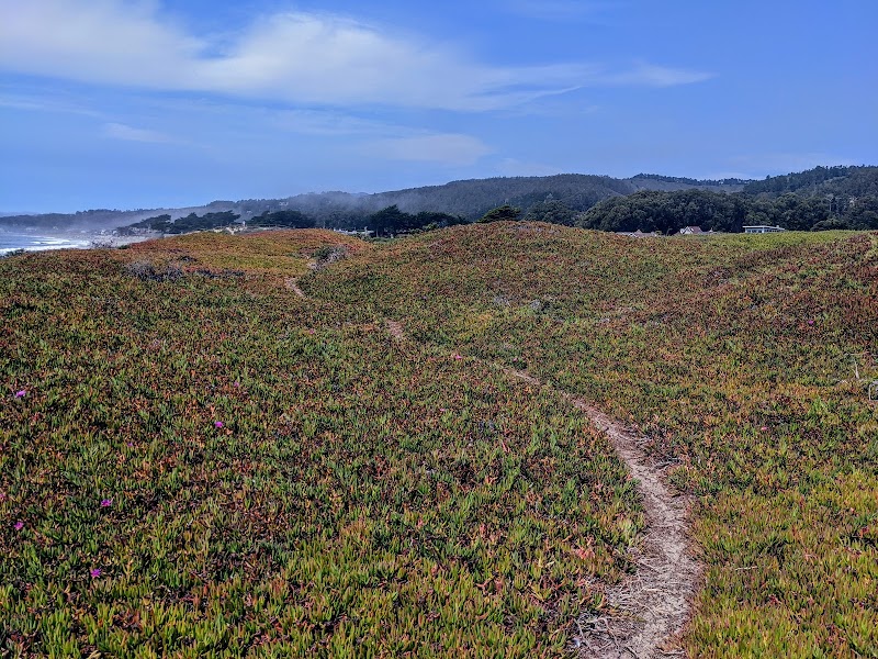 Roosevelt Beach photo 5