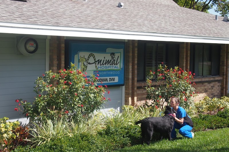 Animal Hospital of Northwood photo 4