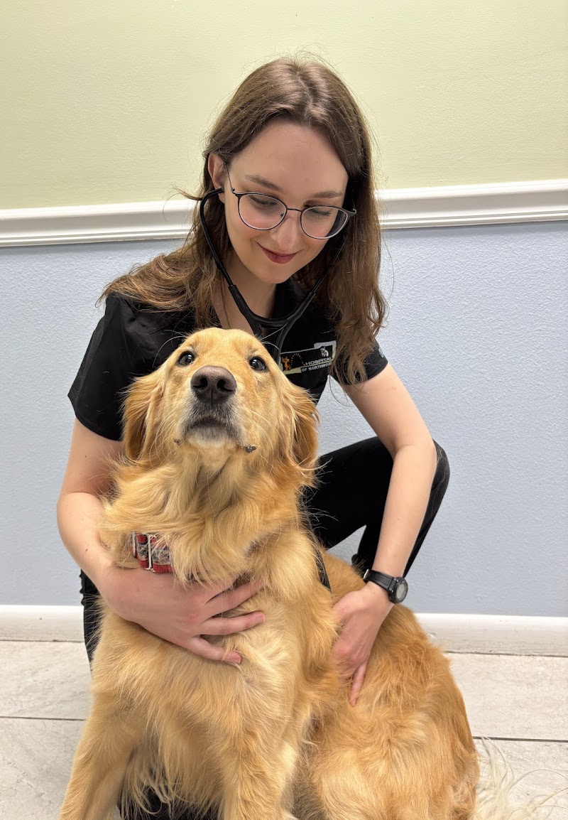 Animal Hospital of Northwood photo 5