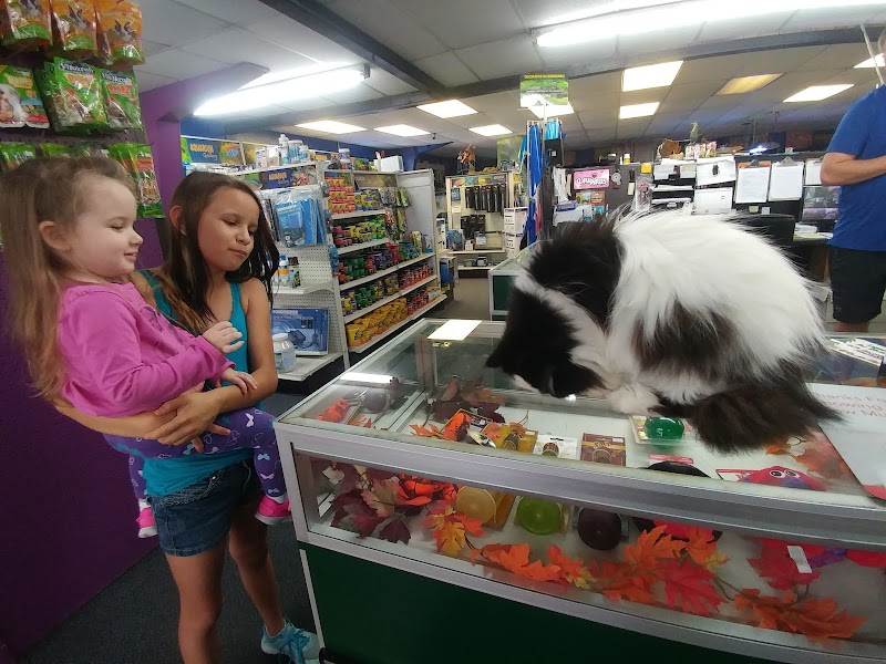 Claws & Paws Pet Store photo 4