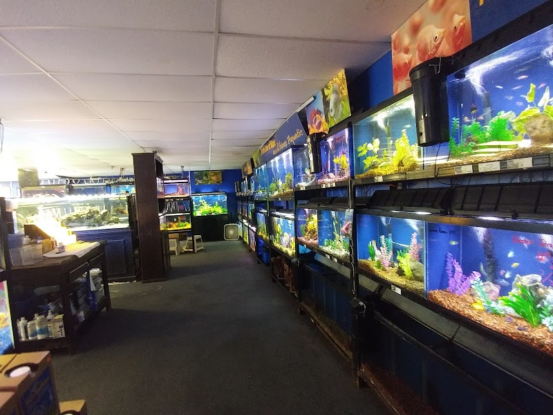 Claws & Paws Pet Store photo 5