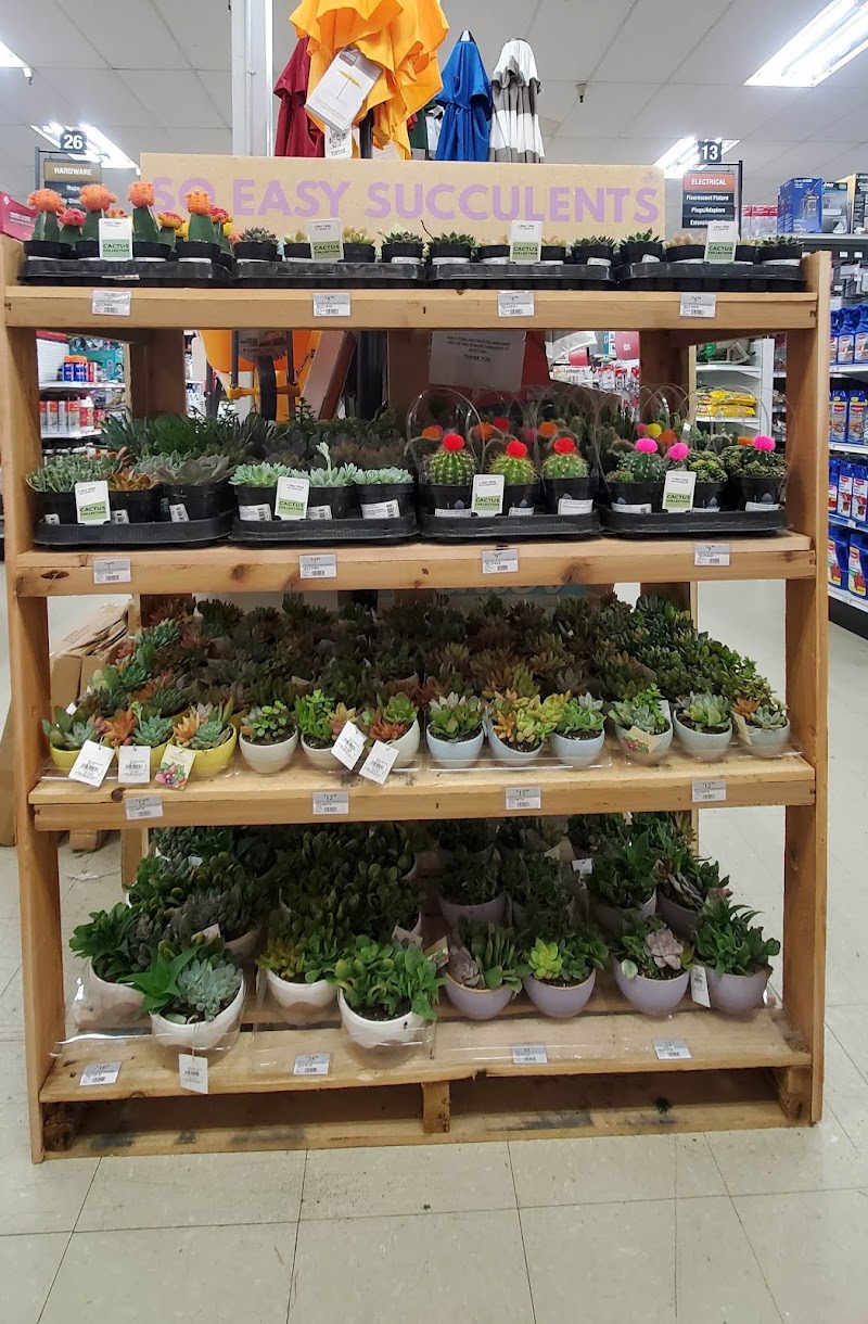 Suisun Ace Hardware photo 2