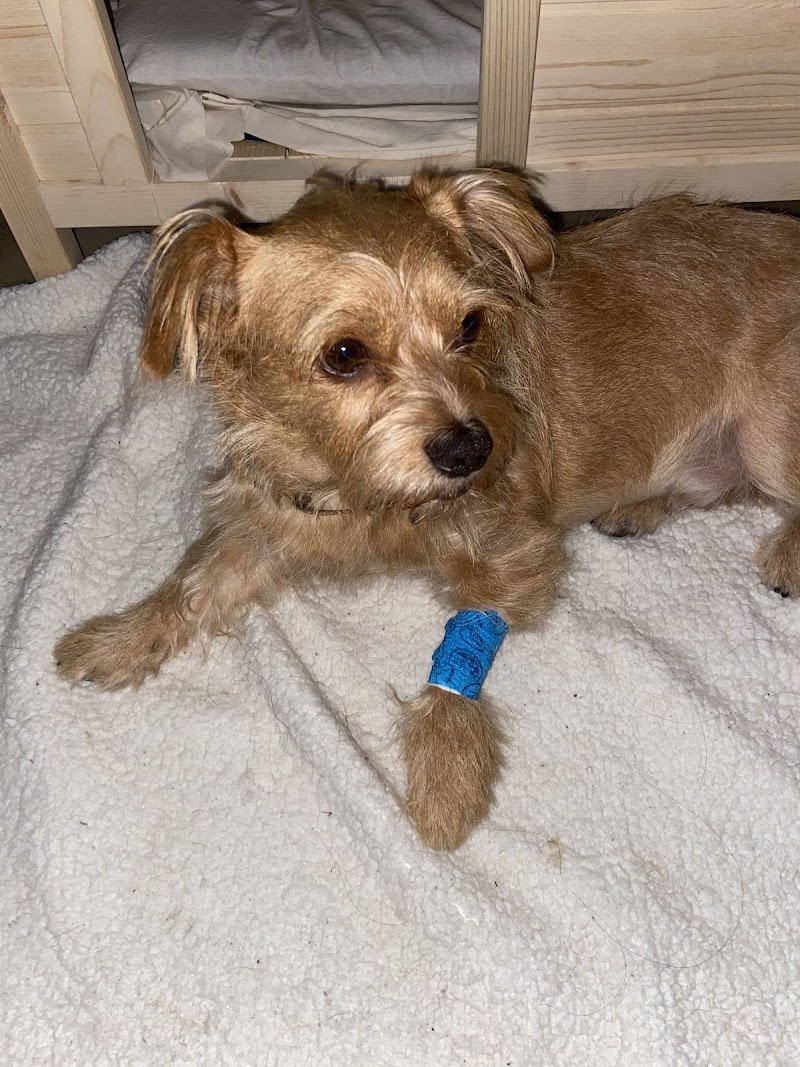 SAGE Veterinary Centers - Dublin photo 3