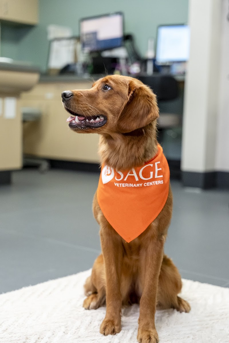 Photo of SAGE Veterinary Centers - Dublin