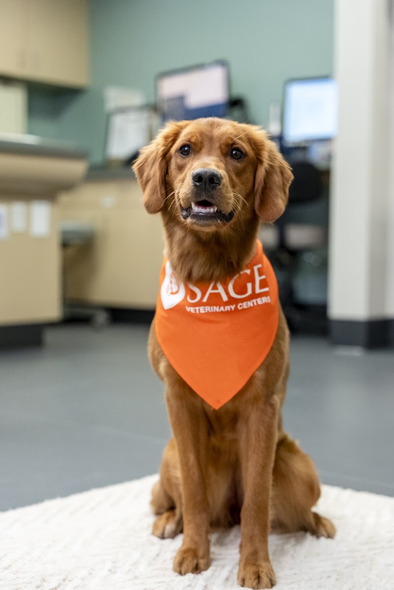 SAGE Veterinary Centers - Dublin photo 5