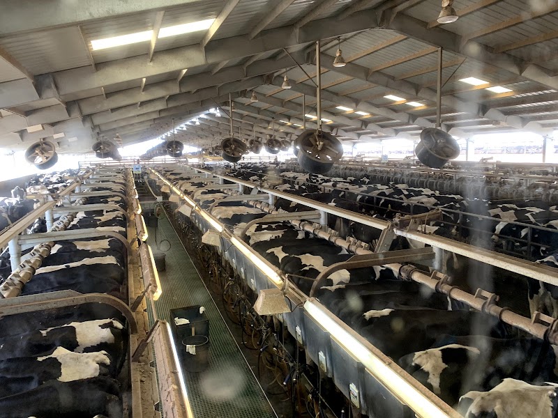 Shamrock Farms-Farm Tour photo 3