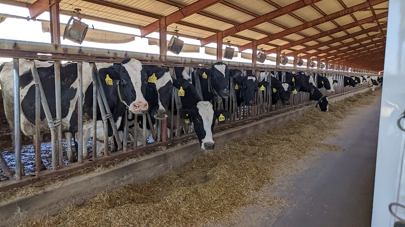 Shamrock Farms-Farm Tour photo 2