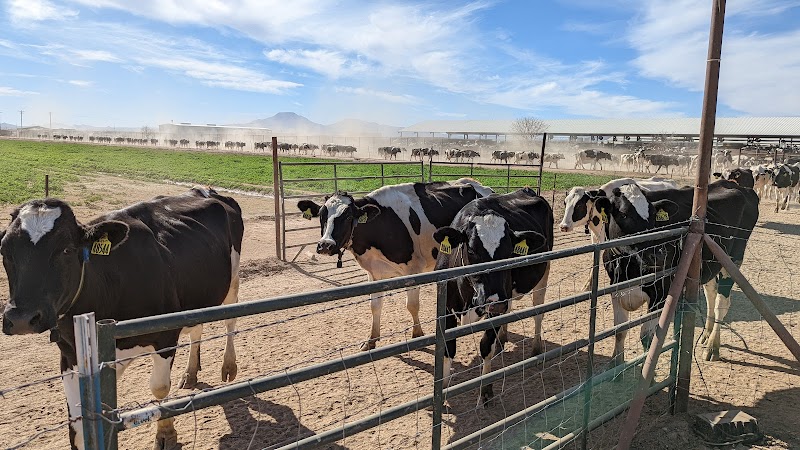 Shamrock Farms-Farm Tour photo 4