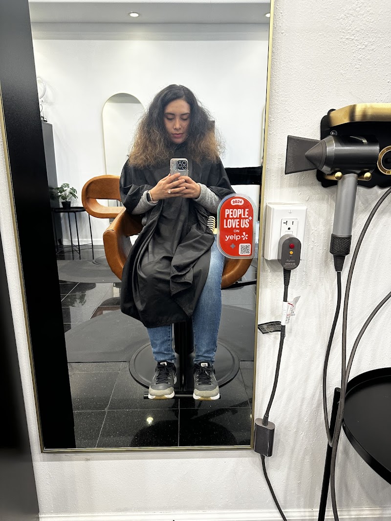 Cheyenne Pellegrini - Balayage and Blonding photo 2