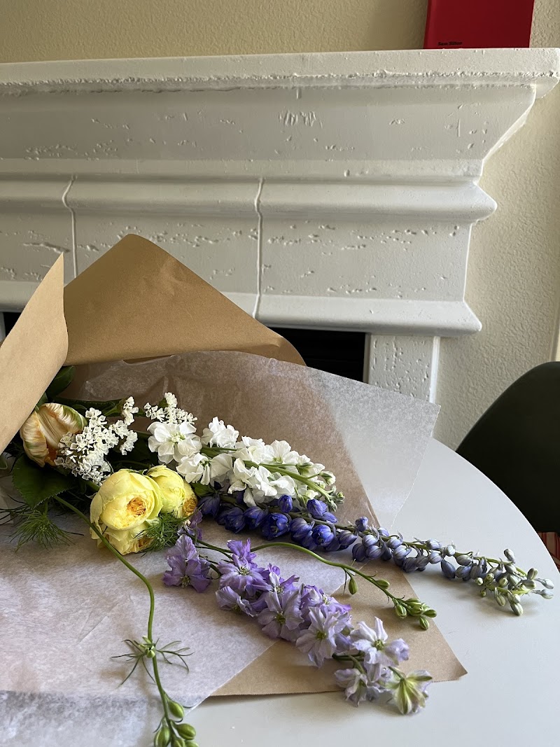 Blossoms and Botanicals photo 4