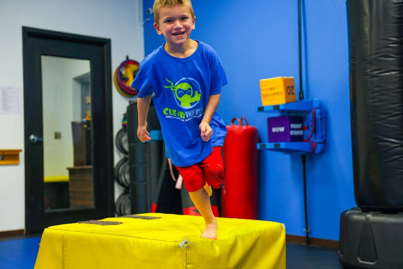 TOP Martial Arts Palm Harbor photo 4