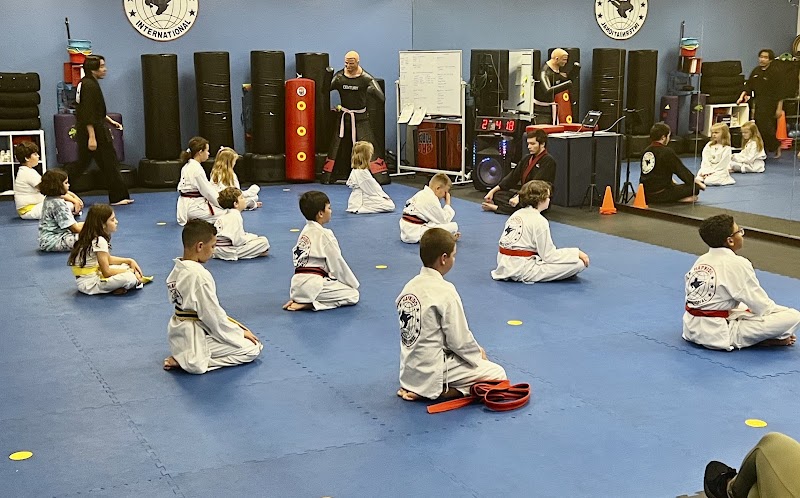 TOP Martial Arts Palm Harbor photo 2