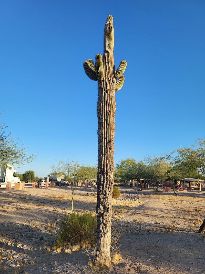 Sacaton Rest Area East Bound photo 4