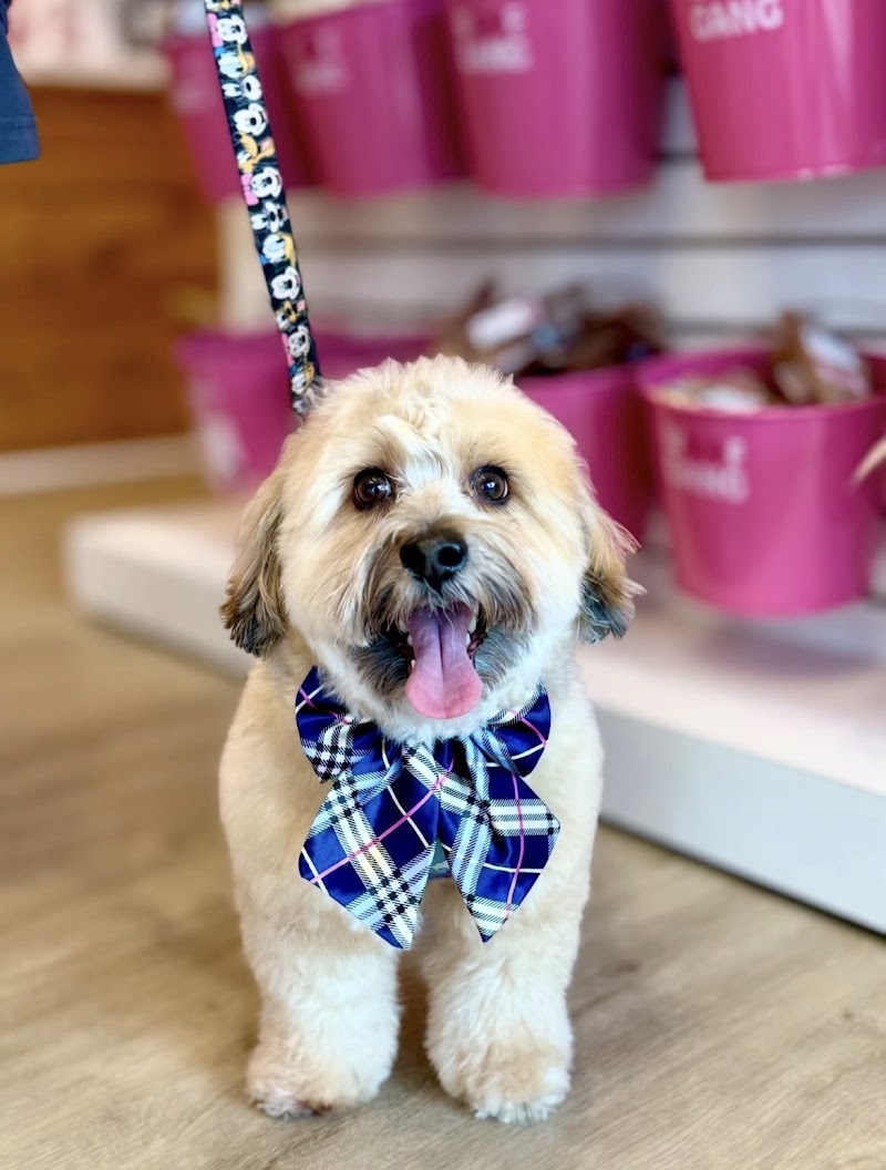 Photo of Woof Gang Bakery & Grooming Clayton