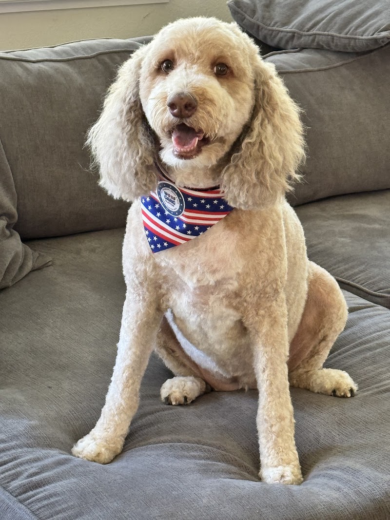 Woof Gang Bakery & Grooming Clayton photo 5