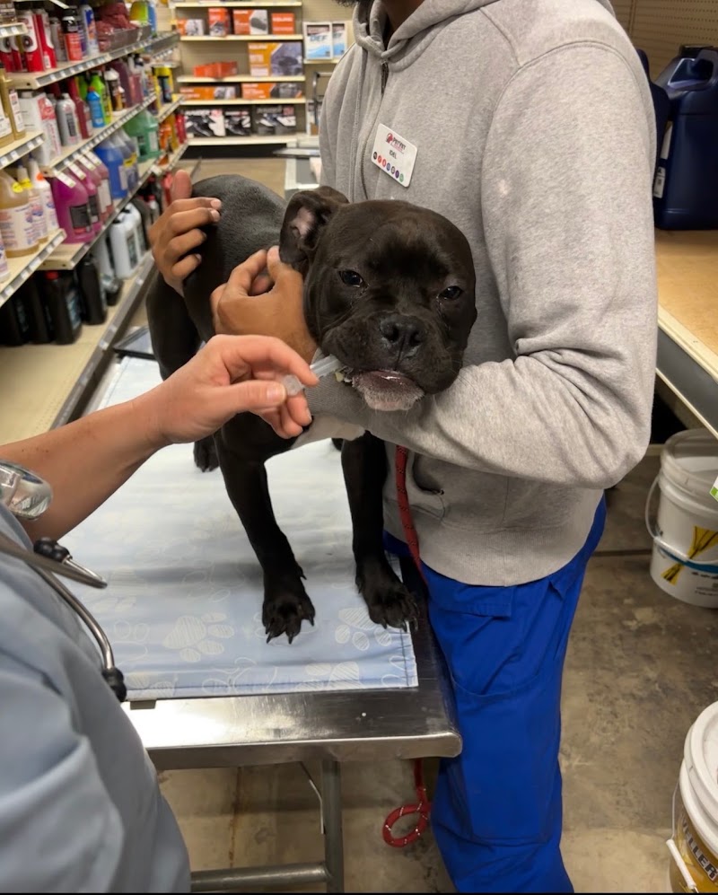 PetVet Vaccination Clinic photo 4
