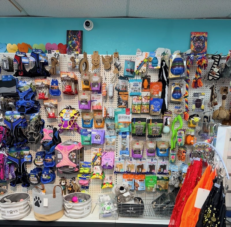 Wiggle Rumps ReTaiL photo 3