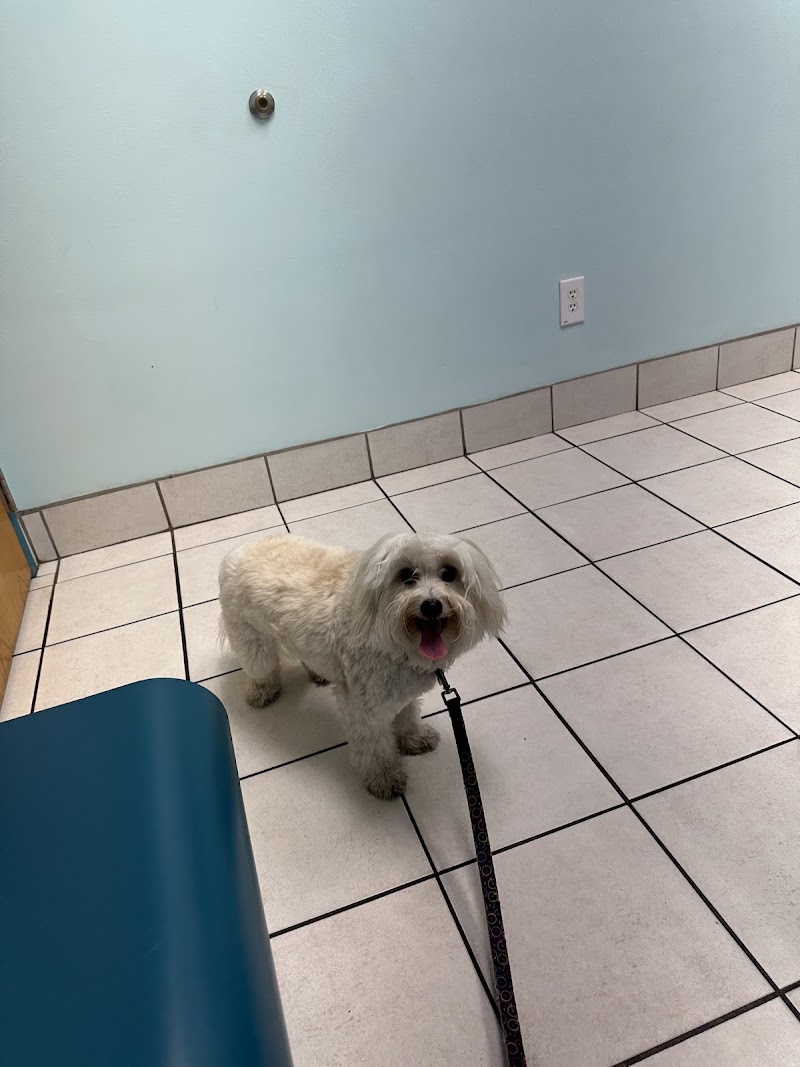 TLC Animal Hospital photo 4