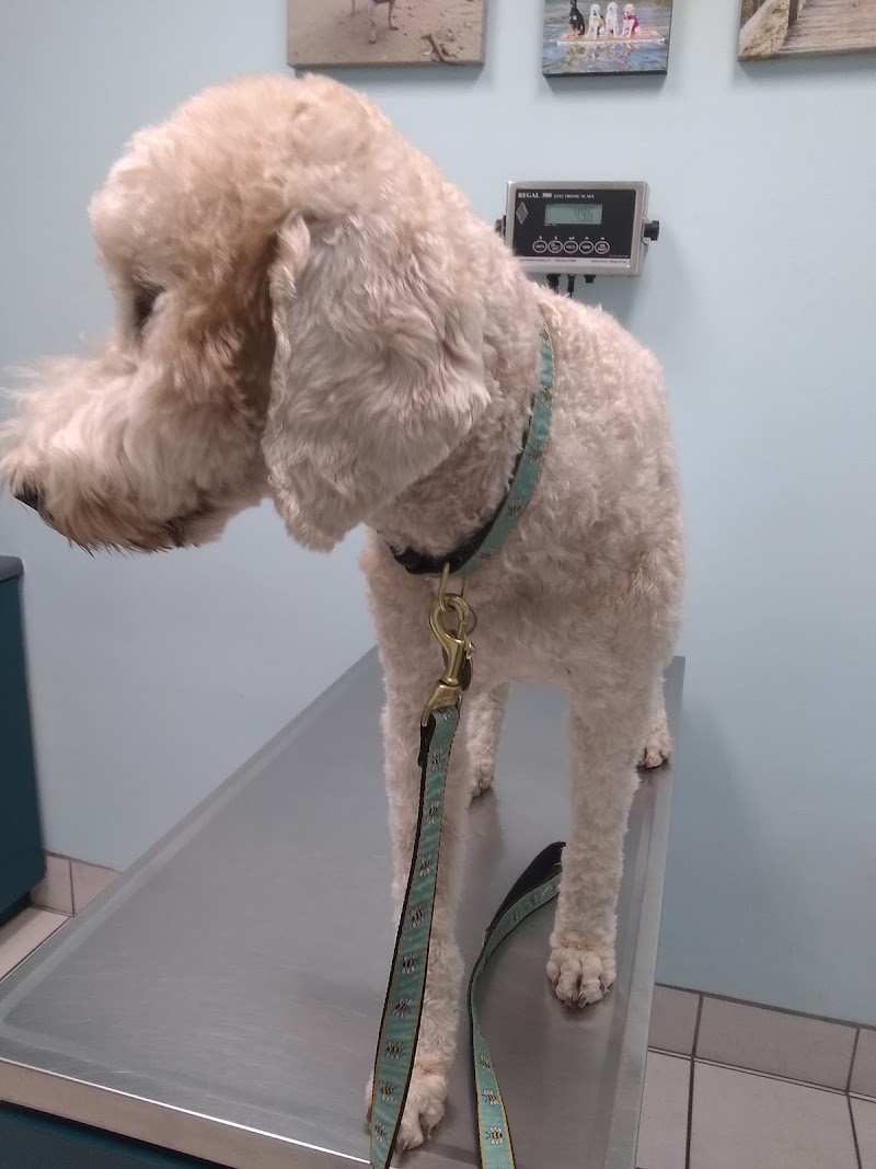 TLC Animal Hospital photo 3