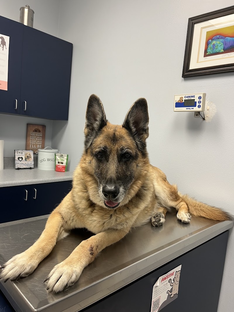 TLC Animal Hospital photo 2