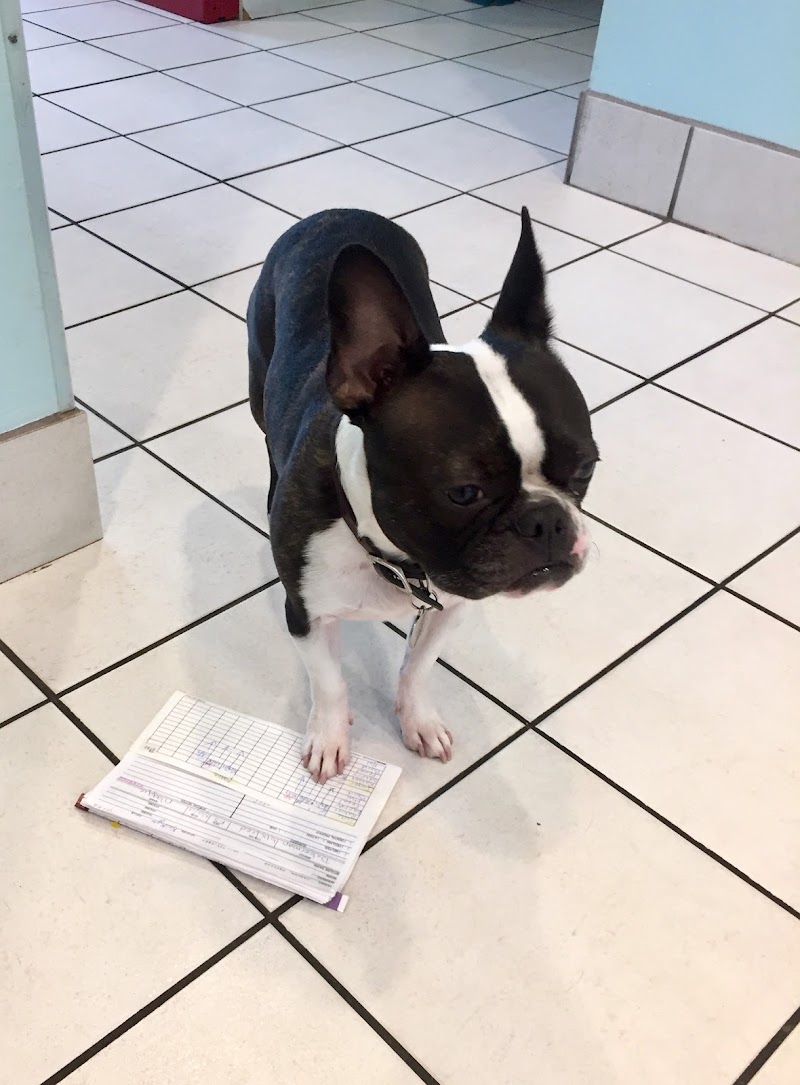 Photo of TLC Animal Hospital