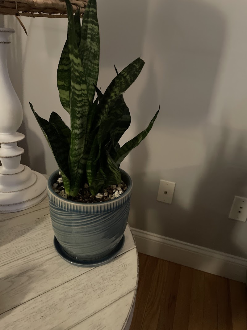 Potter's Green & Gift LLC photo 4