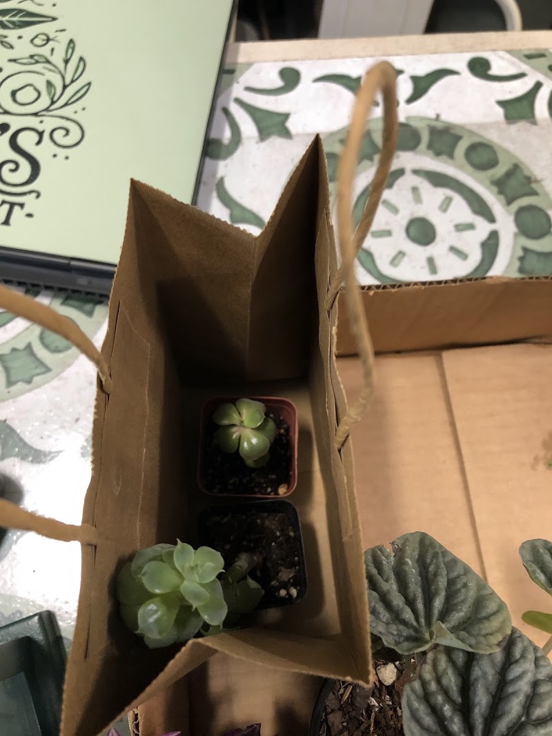 Potter's Green & Gift LLC photo 5