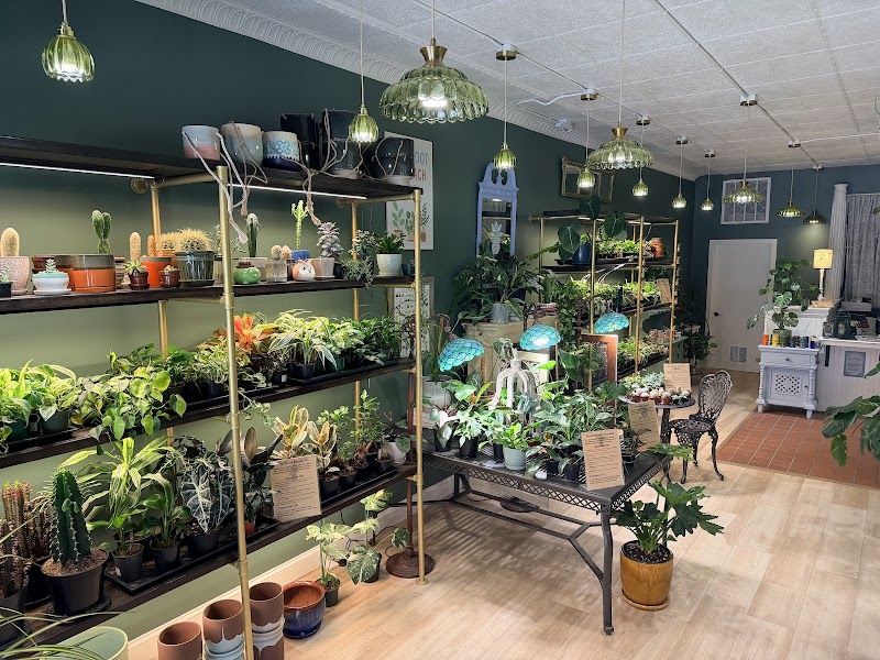 Potter's Green & Gift LLC photo 2