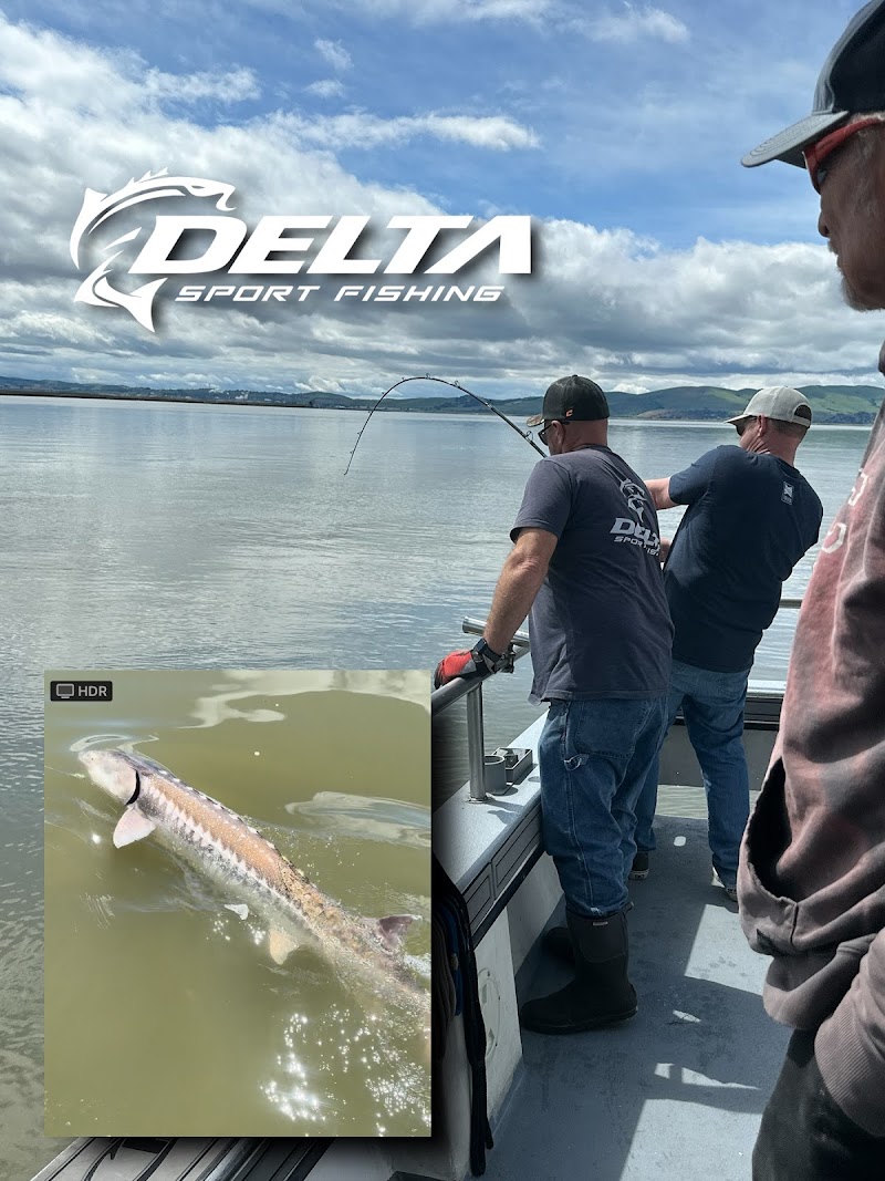 Delta SportFishing photo 4