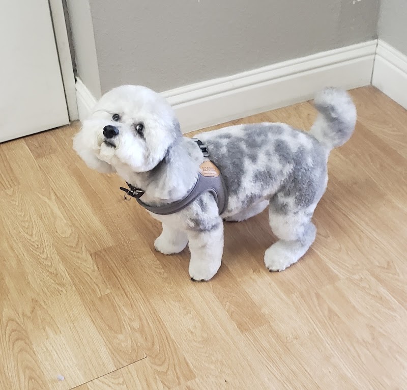 Whitney's Dog Spa photo 2