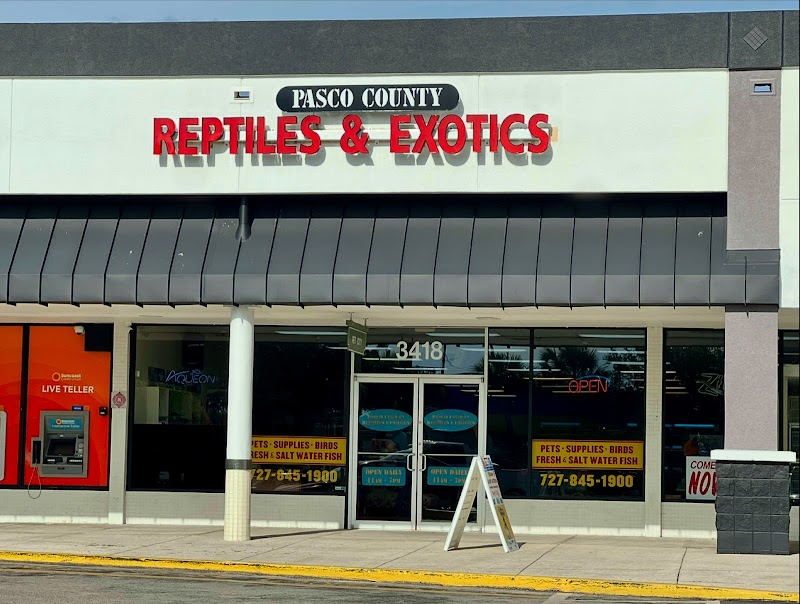Photo of Pasco County Reptiles & Exotics