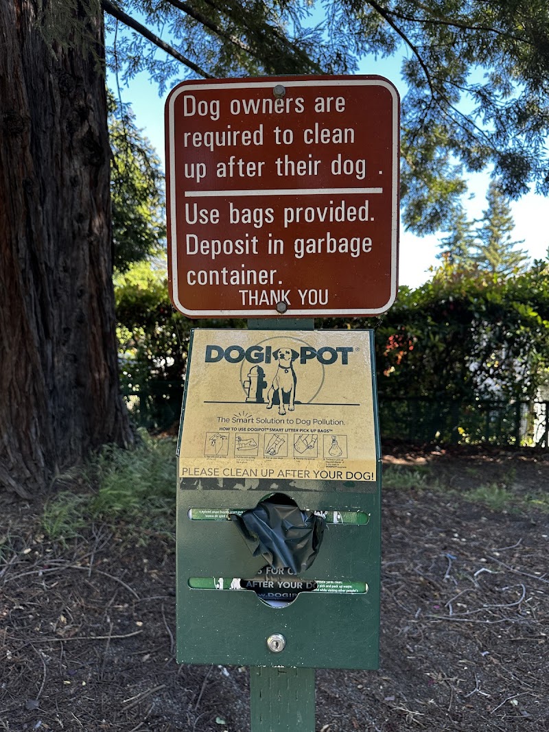 San Carlos Avenue Neighborhood Park photo 3