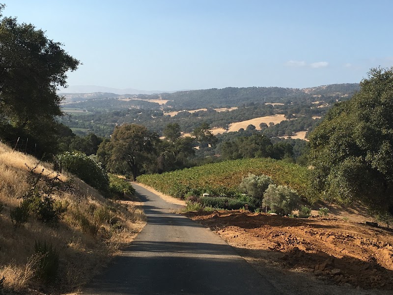 Suisun Creek Vineyards photo 3