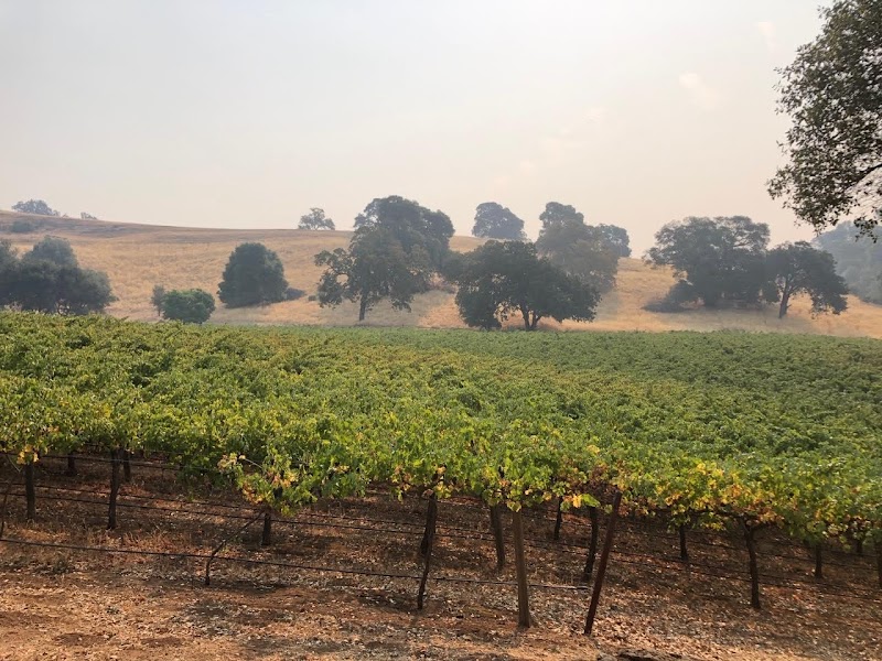 Suisun Creek Vineyards photo 2