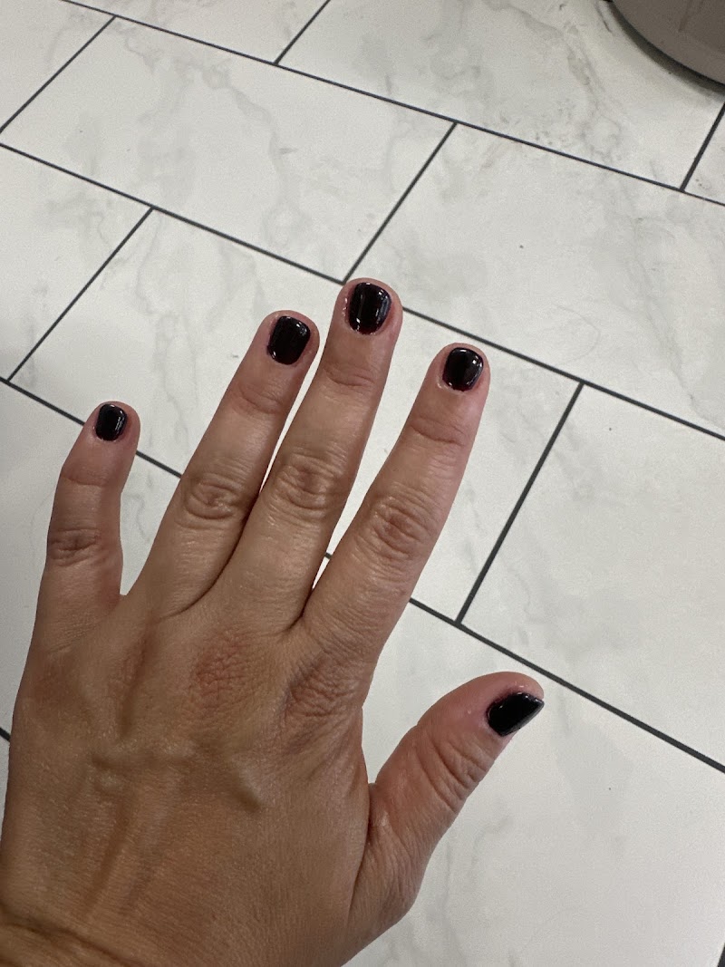 All Polish Nails & Spa photo 5